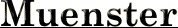 Muenster